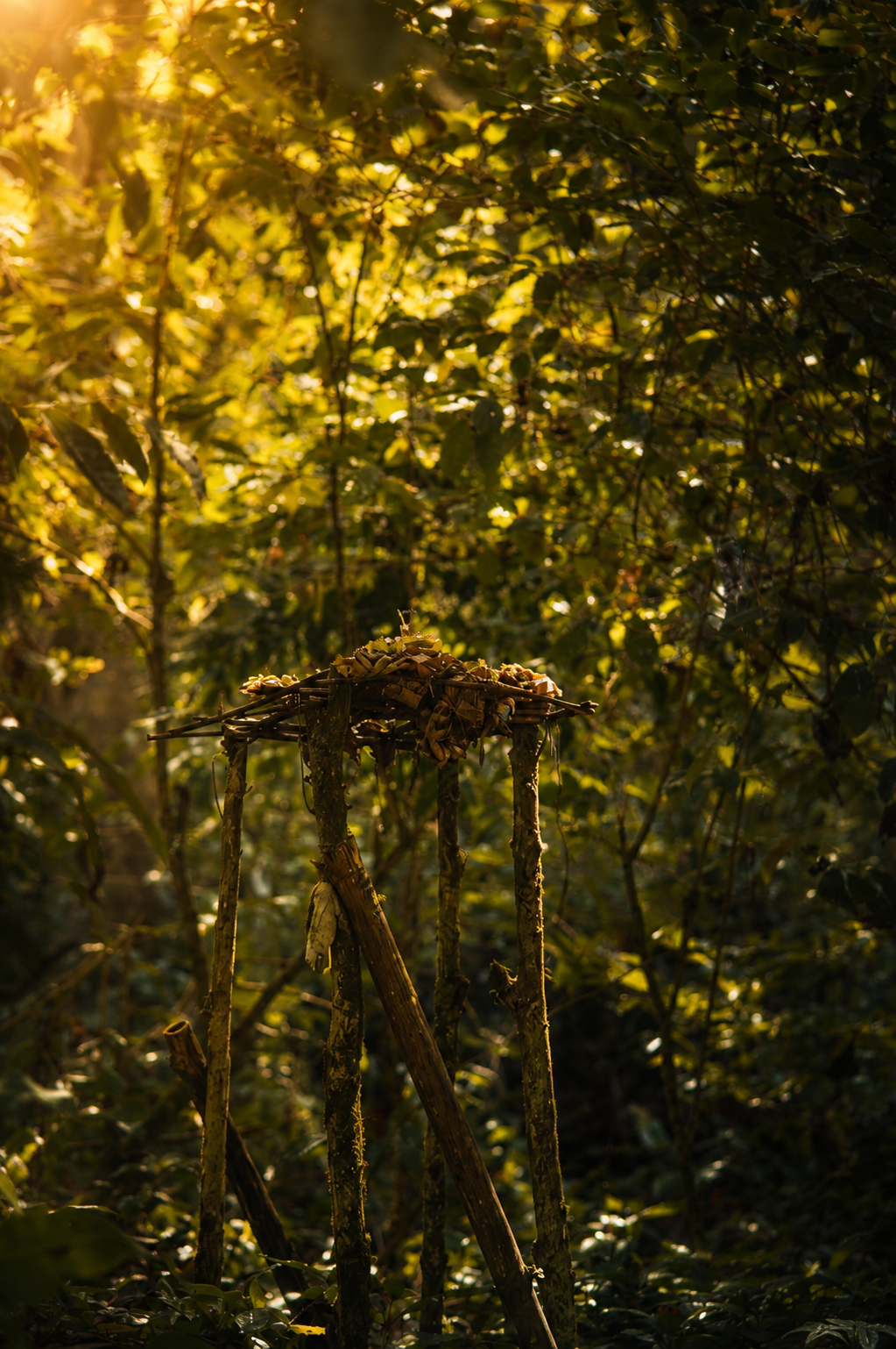 Forest shrine on the path to Banyuwana Waterfall