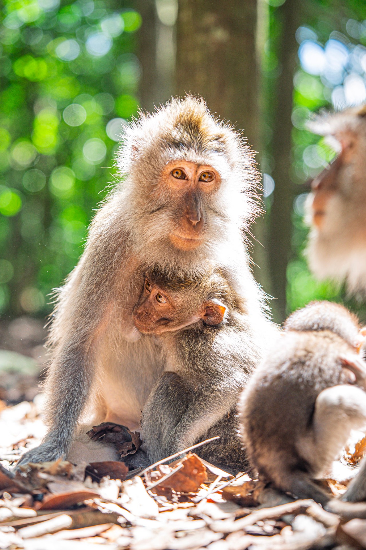 Mother and baby