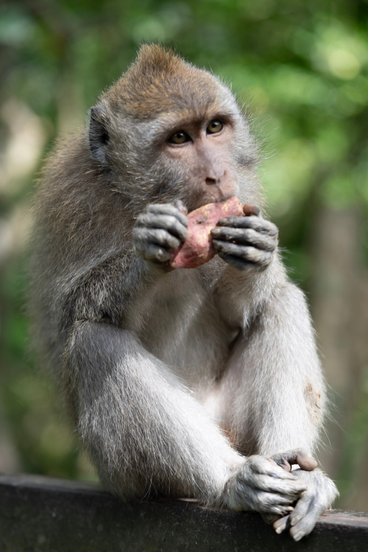 Sweet potato snack