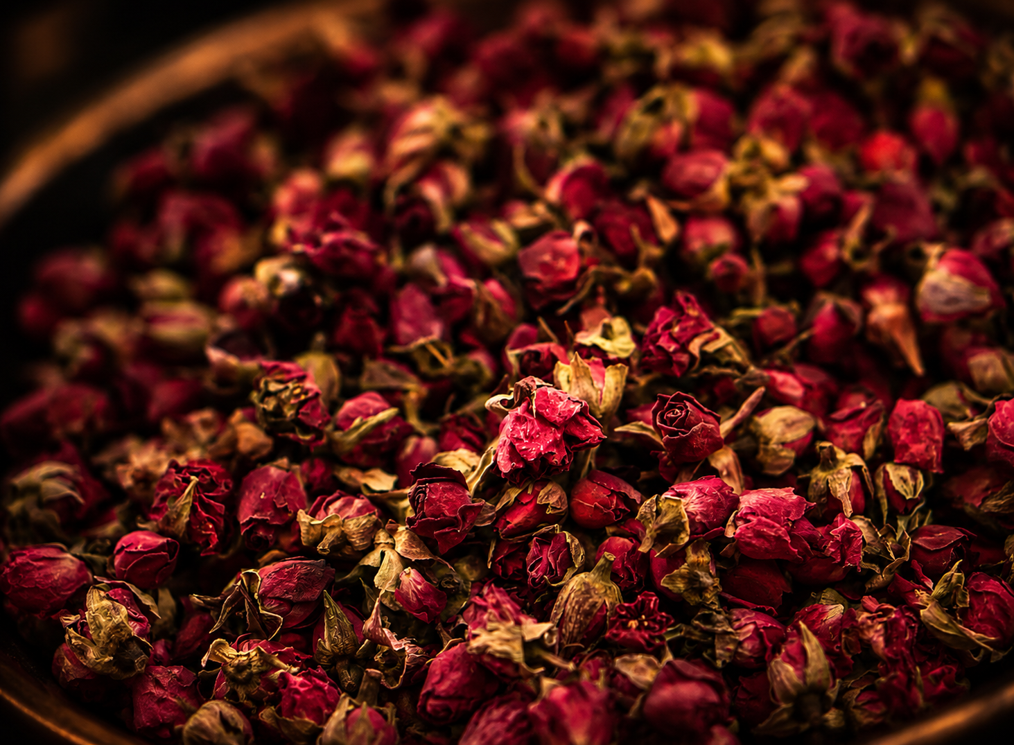 Casa Pons — rose buds