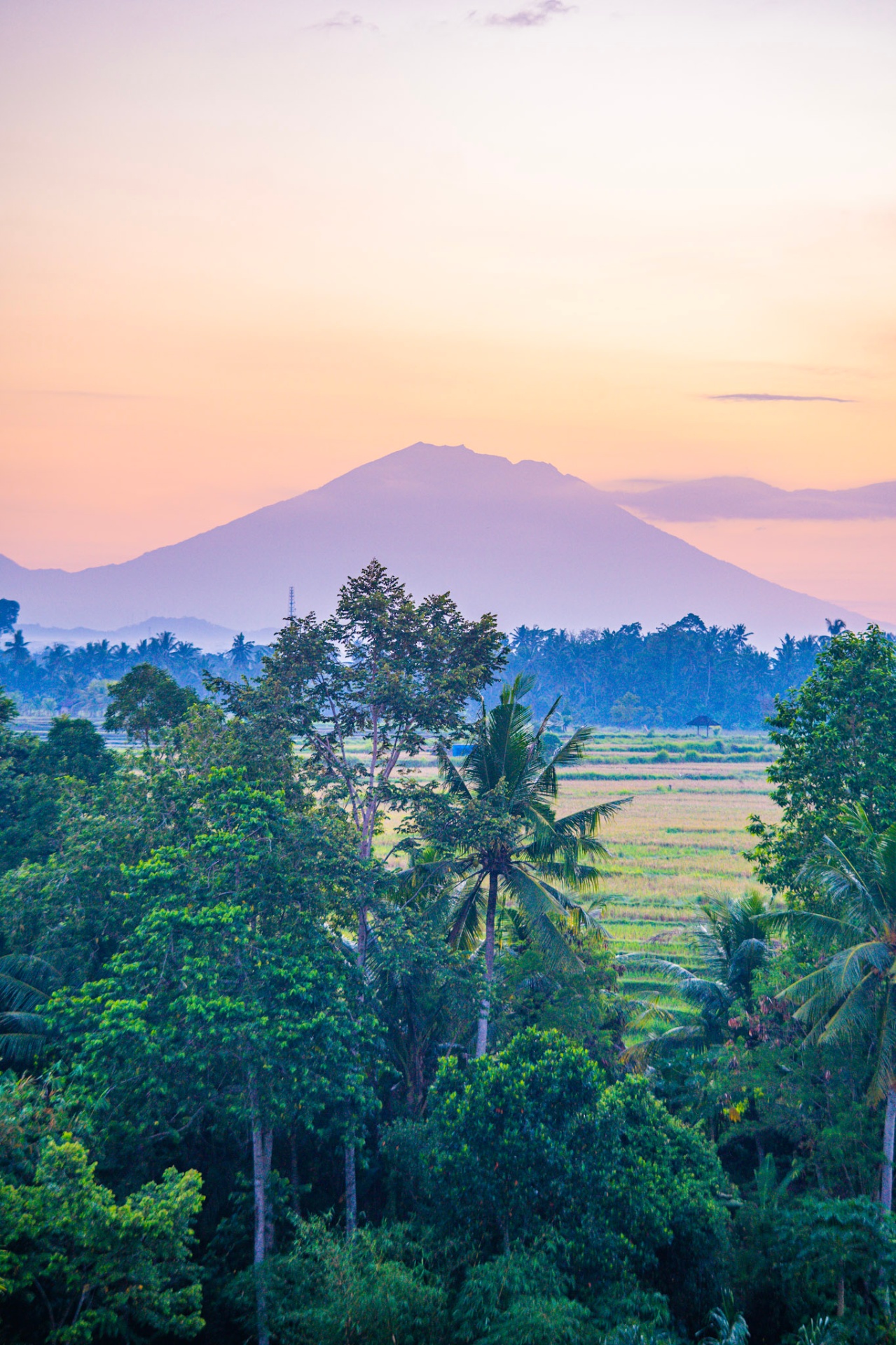 Sunrise over the rice fields
